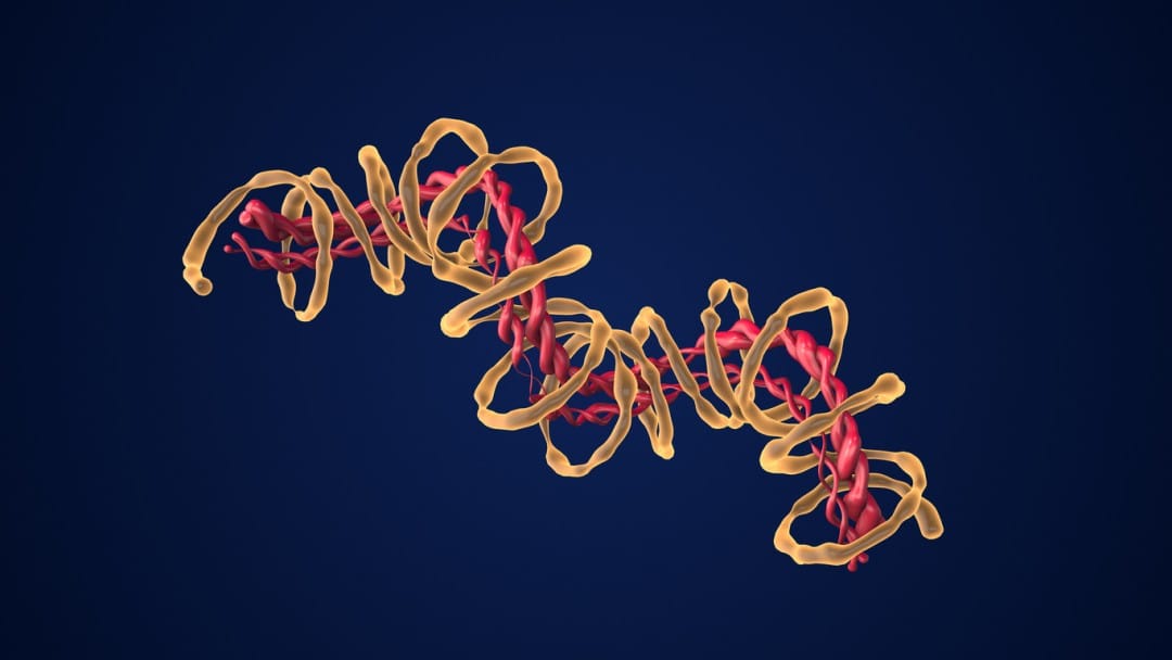 Potential Synergistic Actions with Mod GRF (1-29) &amp; GHRP-6 Blend