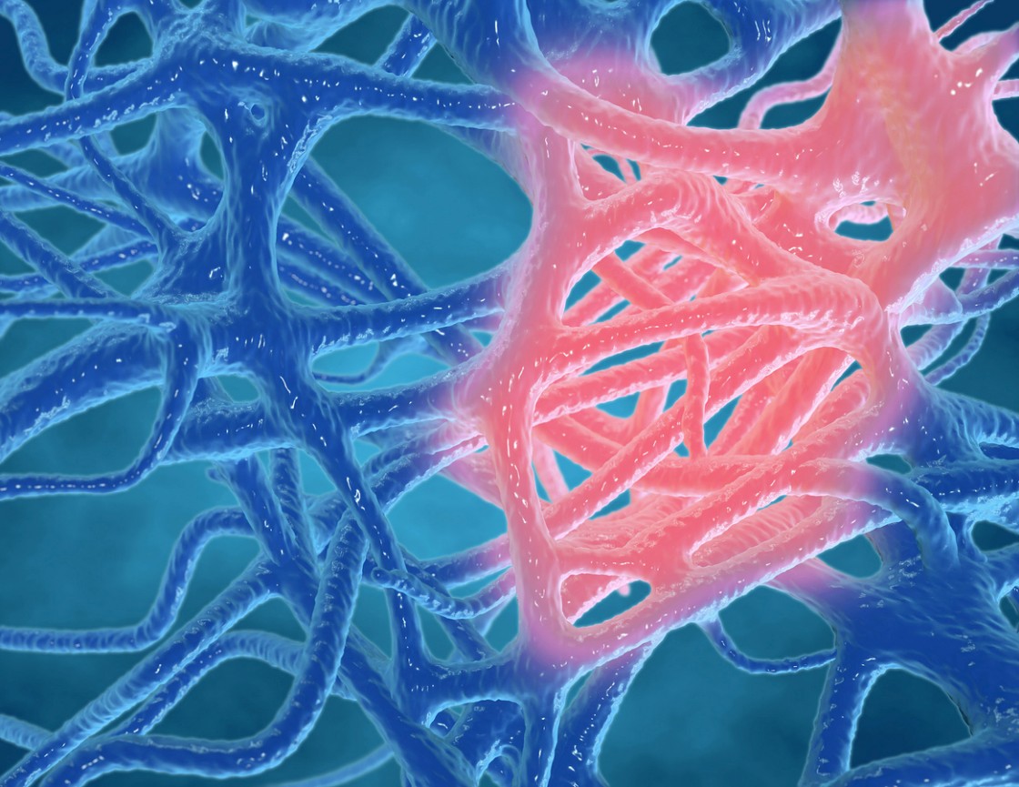 B7-33 Potential Actions on Inflammation and Fibrosis